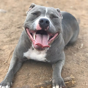 Meet your Posher, Roberto